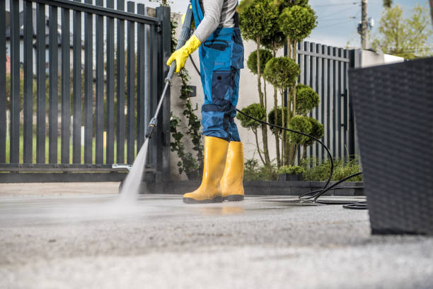 Best House Exterior Washing  in Dowagiac, MI